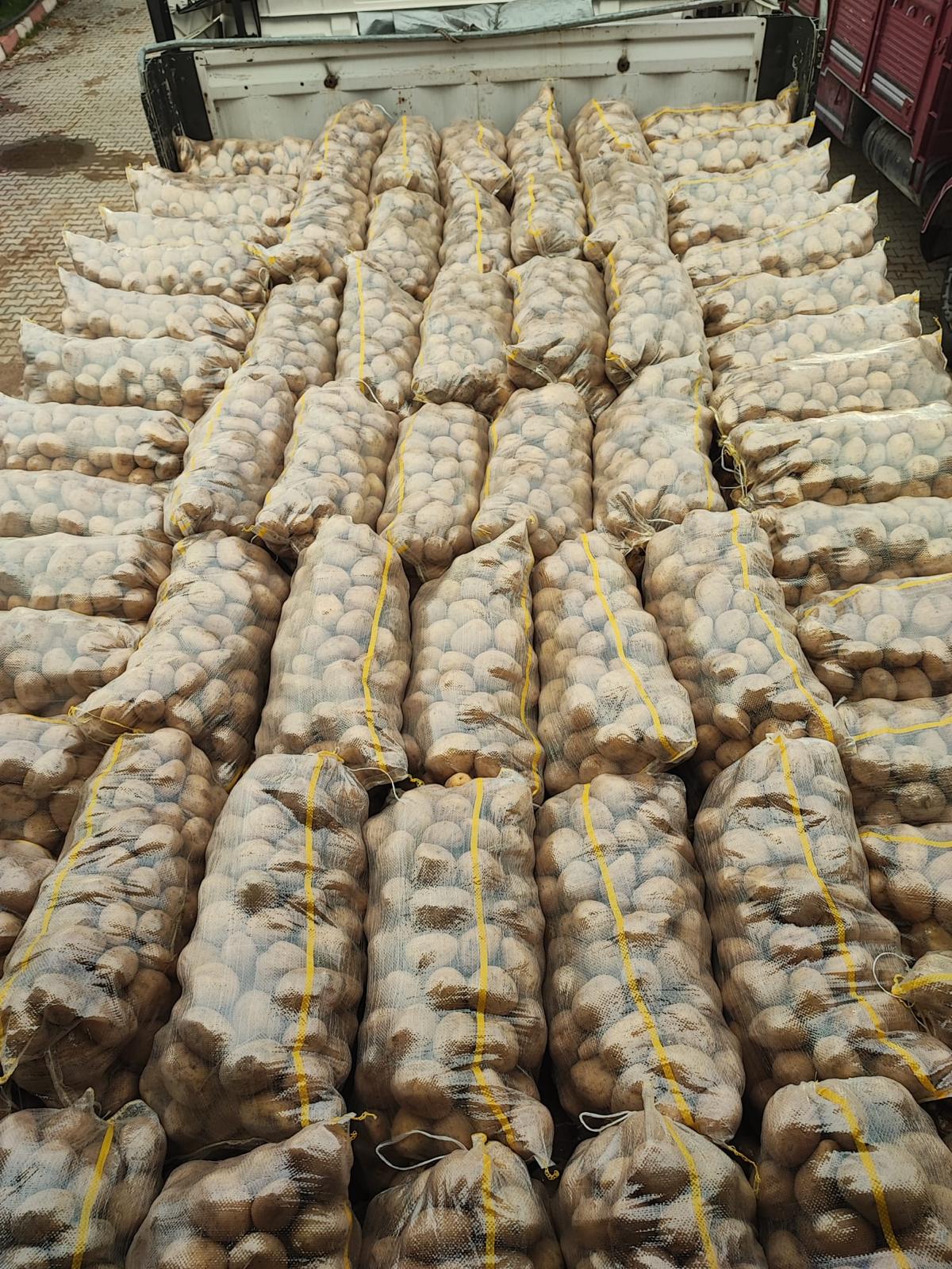 Sevkiyata hazırlanan patates çuvalları